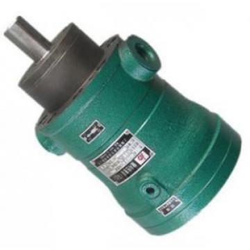 16MCY14-1B  fixed displacement piston pump supply