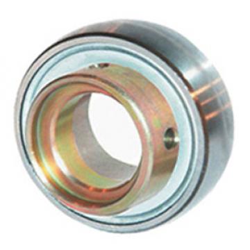 INA RAE20-NPP-B Insert Bearings Spherical OD