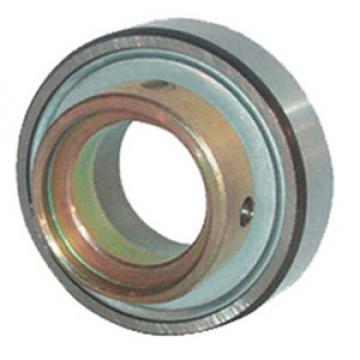 INA RAE20-NPP-NR Insert Bearings Cylindrical OD