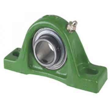 INA RAKY40 Pillow Block Bearings