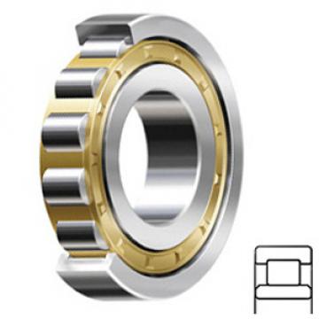 TORRINGTON NU1060MA services Cylindrical Roller Bearings