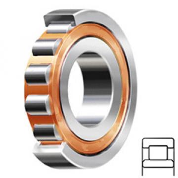 NSK NU206ET services Cylindrical Roller Bearings