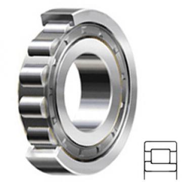 NSK NJ220WC3 Cylindrical Roller Bearings