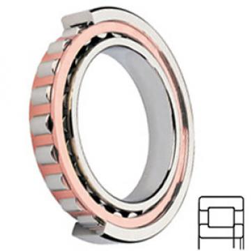 FAG BEARING NUP211-E-TVP2-C3 Cylindrical Roller Bearings