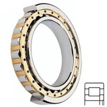 FAG BEARING NUP2226E.M1 Cylindrical Roller Bearings