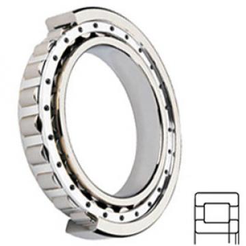 NSK NUP218W Cylindrical Roller Bearings