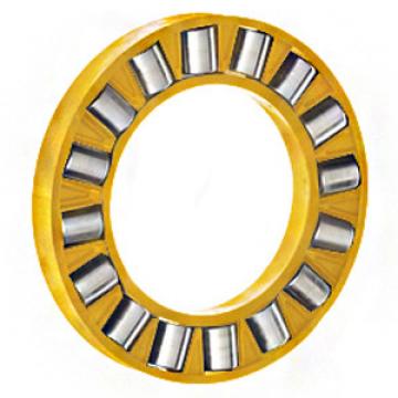 INA K81160 Thrust Roller Bearing