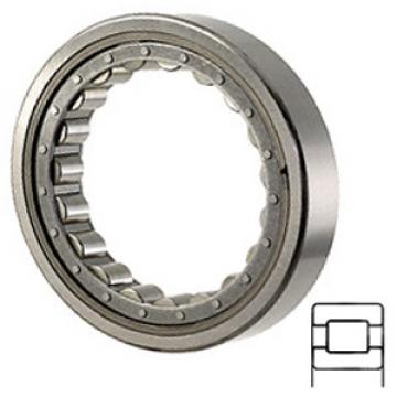 NTN M1926EAHL Cylindrical Roller Bearings