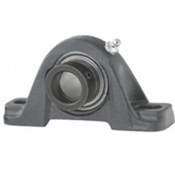 NTN AELP205-100D1 Pillow Block Bearings