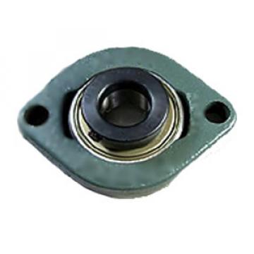 NTN AELFD202-010 Flange Block Bearings