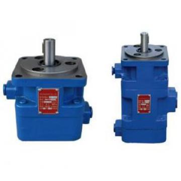 YB1 Type Double Vane Pump YB1-10/10