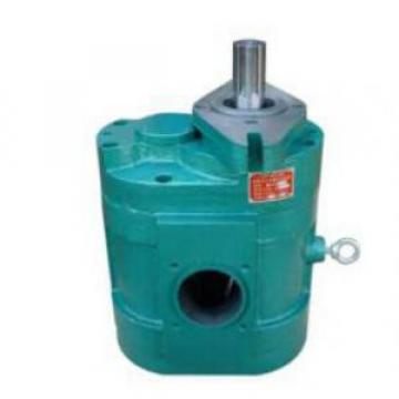 DCB-B800 Low Noise Large Flow Gear Pump