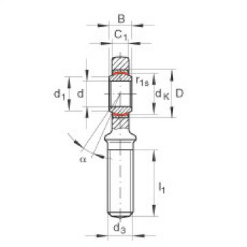 FAG Gelenkk&ouml;pfe - GAR17-UK