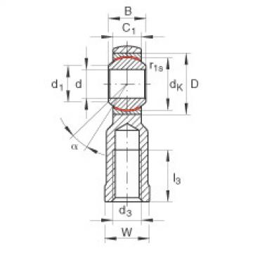 FAG Gelenkk&ouml;pfe - GIKPR16-PW