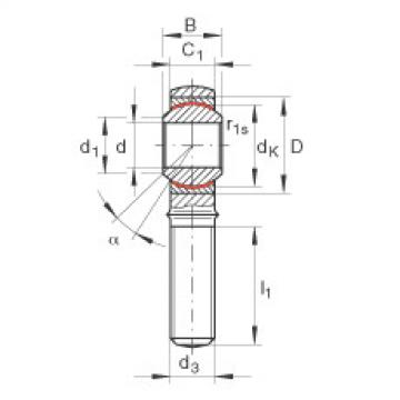 FAG Rod ends - GAKL18-PW