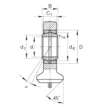 FAG Hydraulic rod ends - GK40-DO