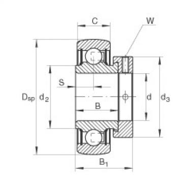 FAG Radial insert ball bearings - RA100-NPP-B