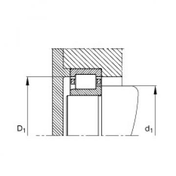 FAG Cylindrical roller bearings - NJ203-E-XL-TVP2