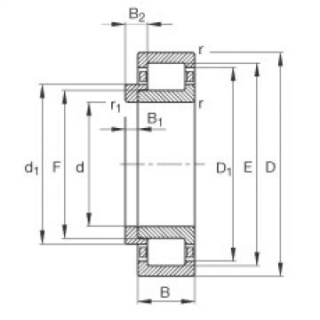 FAG Cylindrical roller bearings - NJ204-E-XL-TVP2 + HJ204-E