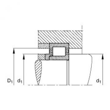 FAG Cylindrical roller bearings - NJ205-E-XL-TVP2 + HJ205-E