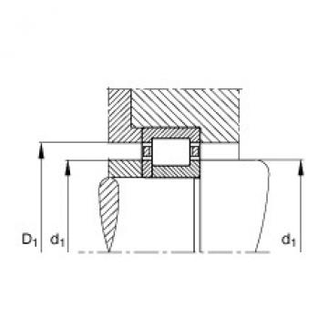 FAG Cylindrical roller bearings - NUP205-E-XL-TVP2