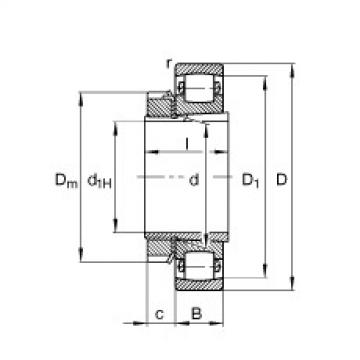 FAG Barrel roller bearings - 20205-K-TVP-C3 + H205