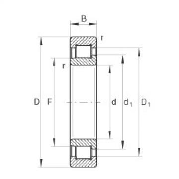 FAG Cylindrical roller bearings - SL192312-XL