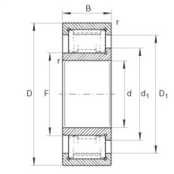 FAG Cylindrical roller bearings - ZSL192307