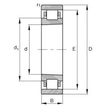 FAG Cylindrical roller bearings - N1010-K-M1-SP