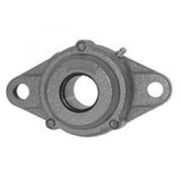 NTN C-UCFL206HT2D1 Flange Block Bearings