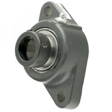 INA LCJT25-N Flange Block Bearings