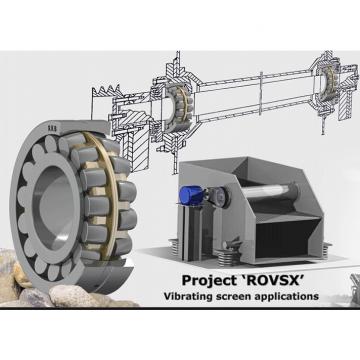 FAG Vibratory Machinery Roller Bearings VSI200644-N