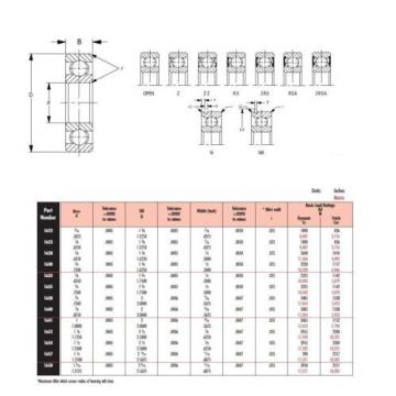 Peer Bearing 1641-2RS-NR 1600 Series Radial Bearing, Snap Ring,