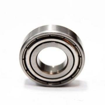 SR10ZZ Stainless Steel Radial Bearing Set of 10