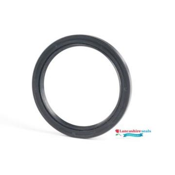 Oil Seal (Rotary Shaft 22mm) 22x28x4mm to 22x47x7mm TTO Nak Other