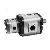 NACHI IPH-55B-40-64-11  IPH Series Double IP Pump #1 small image