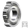 NSK NJ317W services Cylindrical Roller Bearings