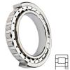 NSK NUP206W Cylindrical Roller Bearings #1 small image
