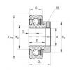 FAG Radial insert ball bearings - RA100-NPP-B