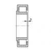 FAG Cylindrical roller bearings - NJ202-E-XL-TVP2