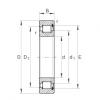 FAG Cylindrical roller bearings - SL182207-XL #1 small image