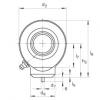 FAG Hydraulic rod ends - GK40-DO