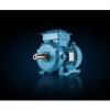 ABB M2BAX315SMC6 ExplosionProof Motors