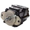 Double Hydraulic Vane Pump Replacement Denison T6CC-025-010-1R02-C100, 4.84