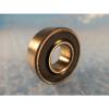 NICE 1610 DCTN Radial Bearing