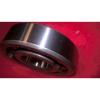 NEW NTN BL306 Radial Groove Ball Bearing NR 95-10