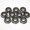 SFR166 Stainless Steel Radial Bearing Set of 10