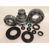 04 05 TRX450R TRX 450R Bottom End Engine Motor Bearing &amp; Seal Rebuild Kit Crank