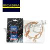 4396 - DICHTUNGSSATZ MOTOR + ÖLDICHTUNG E 2 BEARINGS PIAGGIO SI MISCHEN FL FL2