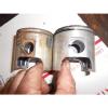 Skidoo Type 467 motor parts: PAIR of STOCK PISTONS w pins and bearings